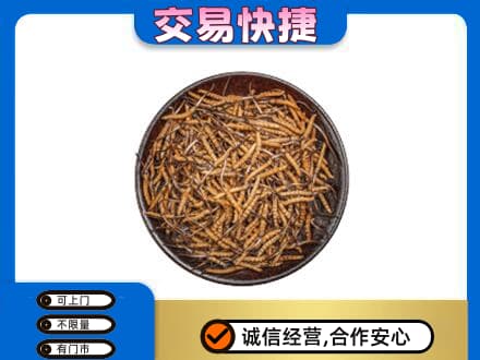 包头市固阳高价回收散虫草